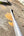 Neutral Thruster Medium